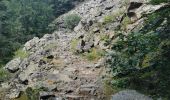 Trail Walking Cauterets - Pont d'Espagne, lac de gaube depuis cauterets  - Photo 16