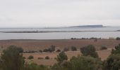 Excursión Senderismo Peyriac-de-Mer - peyriac de mer . étang de doul . roc de vidal . pêche rouge . croix St Paul. peyriac  - Photo 17