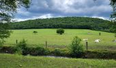 Trail Walking Rochefort - Avé & Auffe 230524 - Photo 3