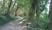 Trail On foot Moras - etang de moras - Photo 4