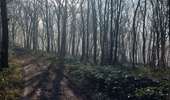 Trail On foot Chapelle-lez-Herlaimont - SJC3 janv.2022 - Photo 3