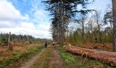 Trail Walking Fontainebleau - La rando des 3 chateaux - Parcours 42 km - Photo 4