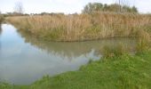 Randonnée Marche Blonville-sur-Mer - Entre marais et histoire - Photo 12