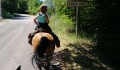 Trail Horseback riding Falck - Falck, forêt de la Houve  - Photo 10