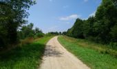 Trail Walking Rigny-Ussé - Rigny-Ussé - Bréhémont - 25.7km 110m 5h30 (40mn) - 2021 07 17 - Photo 4