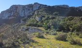 Excursión Senderismo La Farlède - Petit Coudon en partant de La Farlède - Photo 12