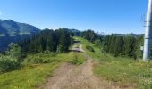 Excursión Senderismo Morzine - morzine la cime de Nyon  - Photo 9