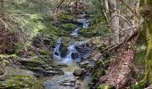 Trail Walking Arphy - Cascade d’Orgon - Photo 6