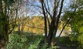 Trail Walking Ports-sur-Vienne - Ports sur Vienne - Photo 2