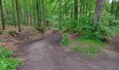 Randonnée Marche Viroflay - La Celle St Cloud depuis Viroflay - Photo 1