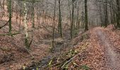 Percorso Marcia Nassogne - Nassogne Forêt St Hubert Nassogne  - Photo 5