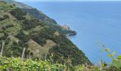 Trail Walking Vernazza - Vernazza - Riomaggiore - Photo 3