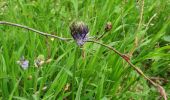 Tour Wandern Esneux - Autour d'Avionpuits - Photo 10