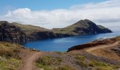 Trail Walking Caniçal - Madère : la presqu'île de Sao Lourenço - Photo 4