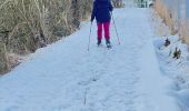 Randonnée Raquettes à neige Tubize - Sortie raquettes dans la réserve Natagora du Coeurcq - Photo 1