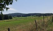 Tocht Stappen Olby - J3 : Olby - lac de Servières - Photo 12