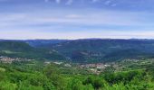 Randonnée Marche Lavans-lès-Saint-Claude - Belvédère de la Scia - Photo 1