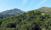 Excursión Senderismo Itxassou - Itxassou (pas de Roland) - Photo 16