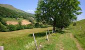 Trail Walking Lavigerie - Cantal - La Gravière - La Vallée de l'Impradine - 6km 170m 2h20 - 2019 07 03 - Photo 7