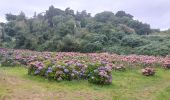 Randonnée Marche Plouézec - GR_34_CH_21_Plouezec_Paimpol_20240802 - Photo 18