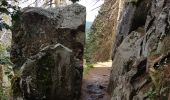 Trail Walking Le Valtin - Col de la Schlucht - sentier des Roches - Petit Honneck - Honneck - Trois Fours - Photo 10
