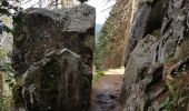 Tocht Stappen Le Valtin - Col de la Schlucht - sentier des Roches - Petit Honneck - Honneck - Trois Fours - Photo 10