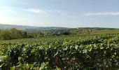 Tocht Stappen Château-Thierry - Randonnée Rose. Reconnaissance du 18-09-2022 - Photo 1