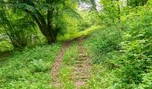 Percorso A piedi Beverungen - Erlesene Natur - Wo der Bock zum Gärtner wird - Photo 1