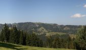 Tour Zu Fuß Romoos - Bramboden - Hängelenflue - Photo 1