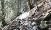 Trail Walking La Bresse - 24022021 La Bresse Lac des corbeaux - Photo 8
