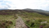 Tocht Te voet The Municipal District of Dundalk - Carlingford - Walk 4 - Ravensdale Loop - Photo 9