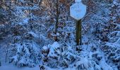 Tour Wandern La Roche-en-Ardenne - Samree 130125 - Photo 2