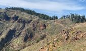 Trail Walking Tejeda - Cuevas del Caballero (Gran Canaria) - Photo 4