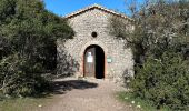 Tocht Stappen Montmeyan - Basses gorges du verdon  - Photo 9