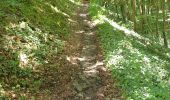 Trail Walking Dinant - Balade à Dinant - Photo 3