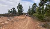 Tour Wandern Adeje - La qu’intact - Photo 14