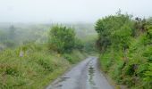 Excursión A pie West Cork - Barnageehy Loop Walk - Photo 2