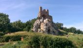 Tour Zu Fuß Brunn am Gebirge - SPORTaktiv Runde - Photo 7