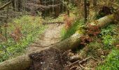 Trail On foot Waldstetten - Nordic Walking Strecke 2 - Photo 2