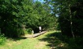 Tour Wandern Sainte-Ode - mesa 3 Amberloup - Photo 1