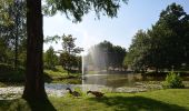 Tour Zu Fuß Bad Driburg - VitalWanderWelt-Alhausen-Bad Hermannsborn - Photo 9