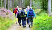 Tocht Te voet Fontainebleau - Fontainebleau les monts de Fay - Photo 10