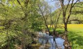 Trail Walking Durbuy - Heyd - Photo 2