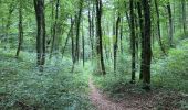 Tour Wandern Esch an der Alzette - Terres Rouges Esch Ellergron 18 km - Photo 10