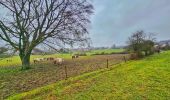 Randonnée Marche Couvin - Balade de Gonrieux à Presgaux - Photo 10