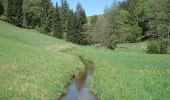 Tour Zu Fuß Esselbach - Ortswanderweg Hafenlohr 5 - Photo 1