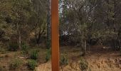 Tour Wandern Mandelieu-la-Napoule - Grand Duc - Photo 1