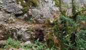 Trail Walking Montmeyan - les basses gorges de quinson - Photo 3