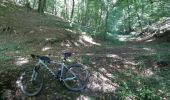 Trail Mountain bike Virton - Lahage II - Balade_VTT_33Kms - Photo 14
