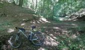 Tour Mountainbike Wirten - Lahage II - Balade_VTT_33Kms - Photo 14